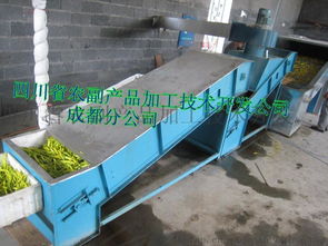 高效農(nóng)業(yè)加工利器 黃花菜蒸煮機與果蔬烘干機的應(yīng)用